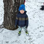 phoca_thumb_m_krteci a zima 19 Fotogalerie